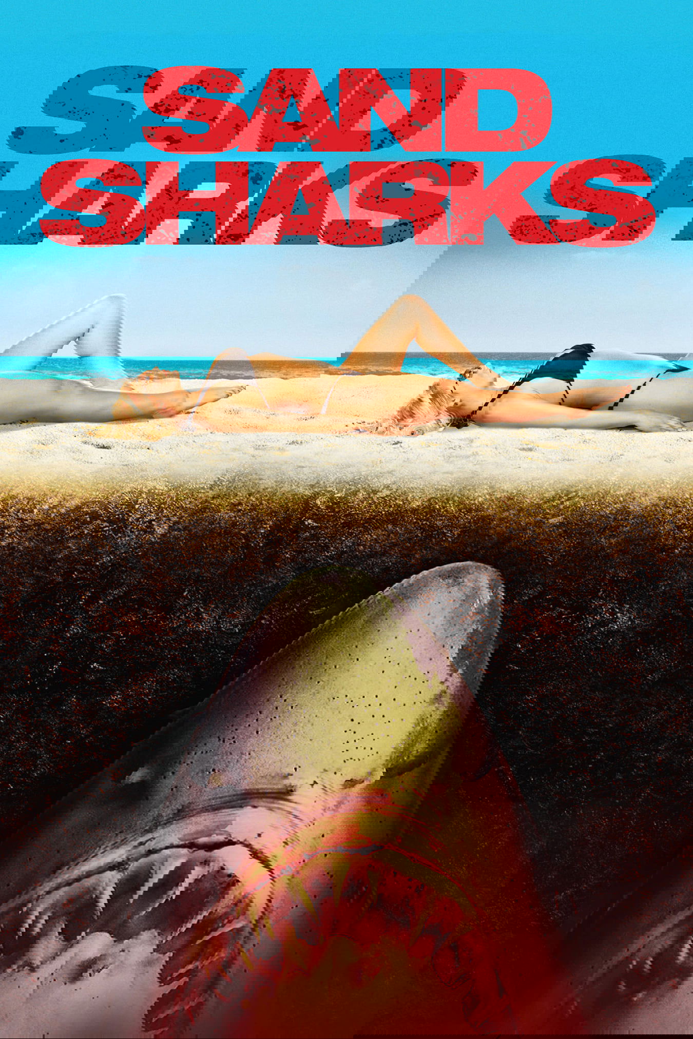 Sand Sharks