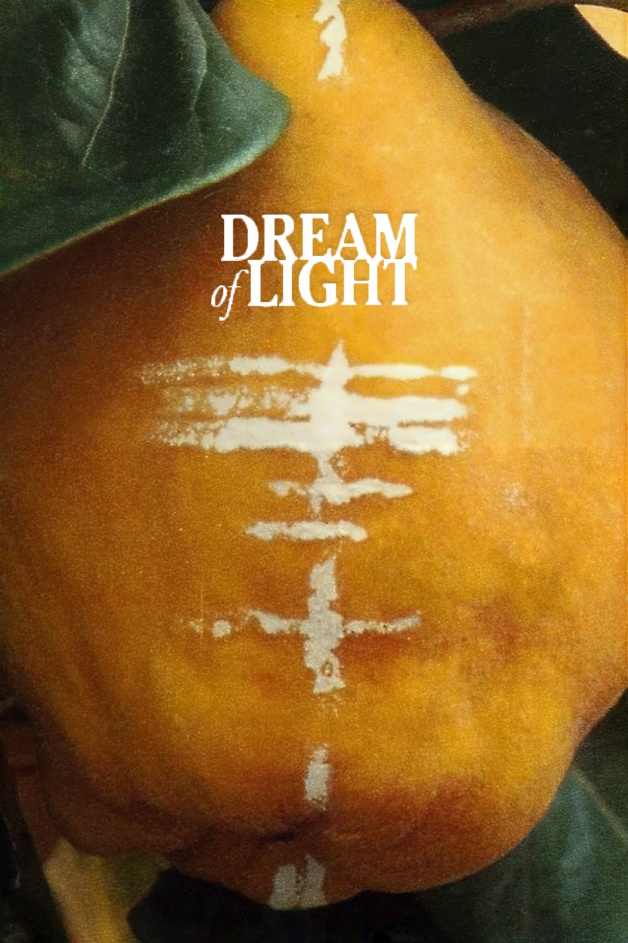 Dream of Light