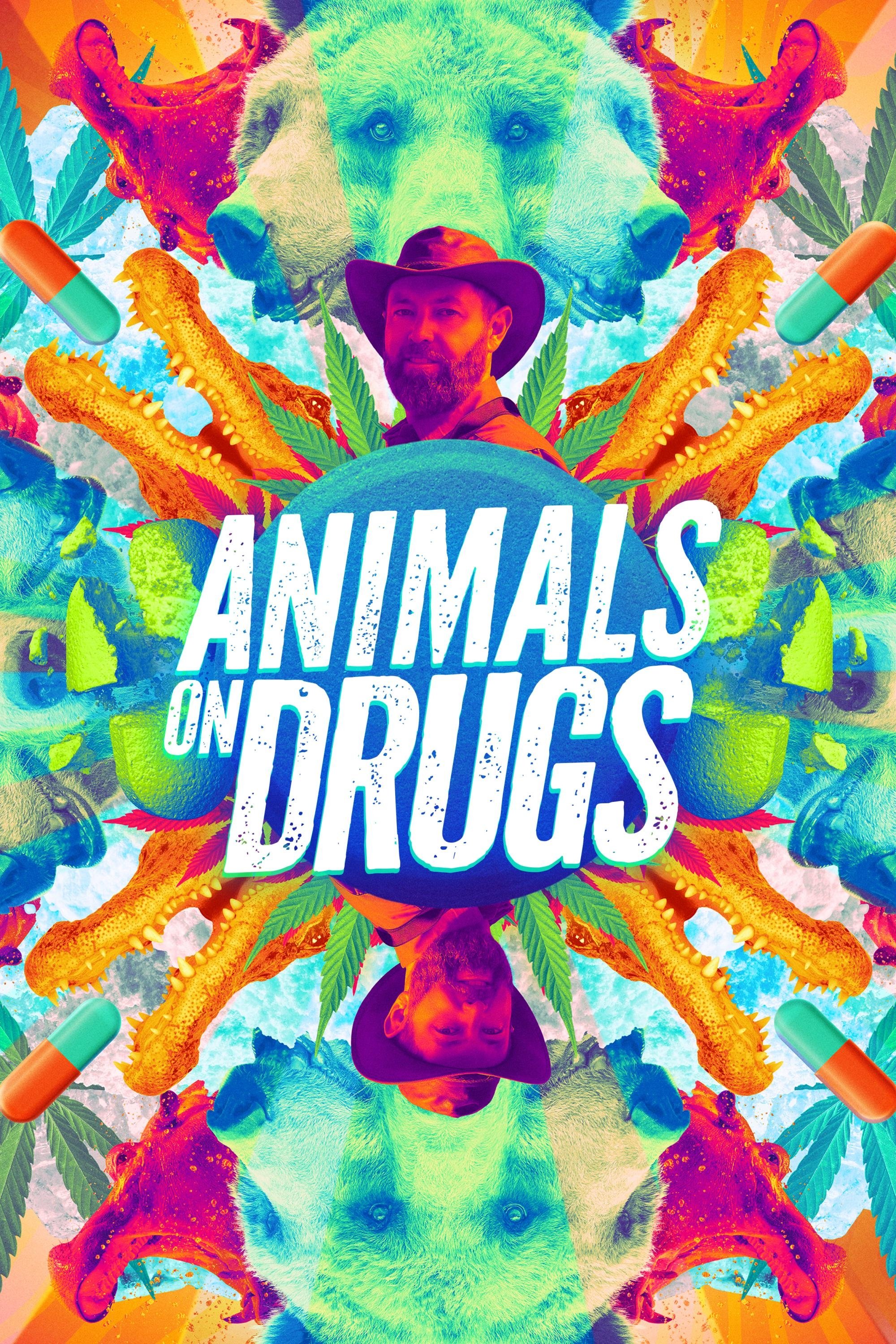 Animals on Drugs