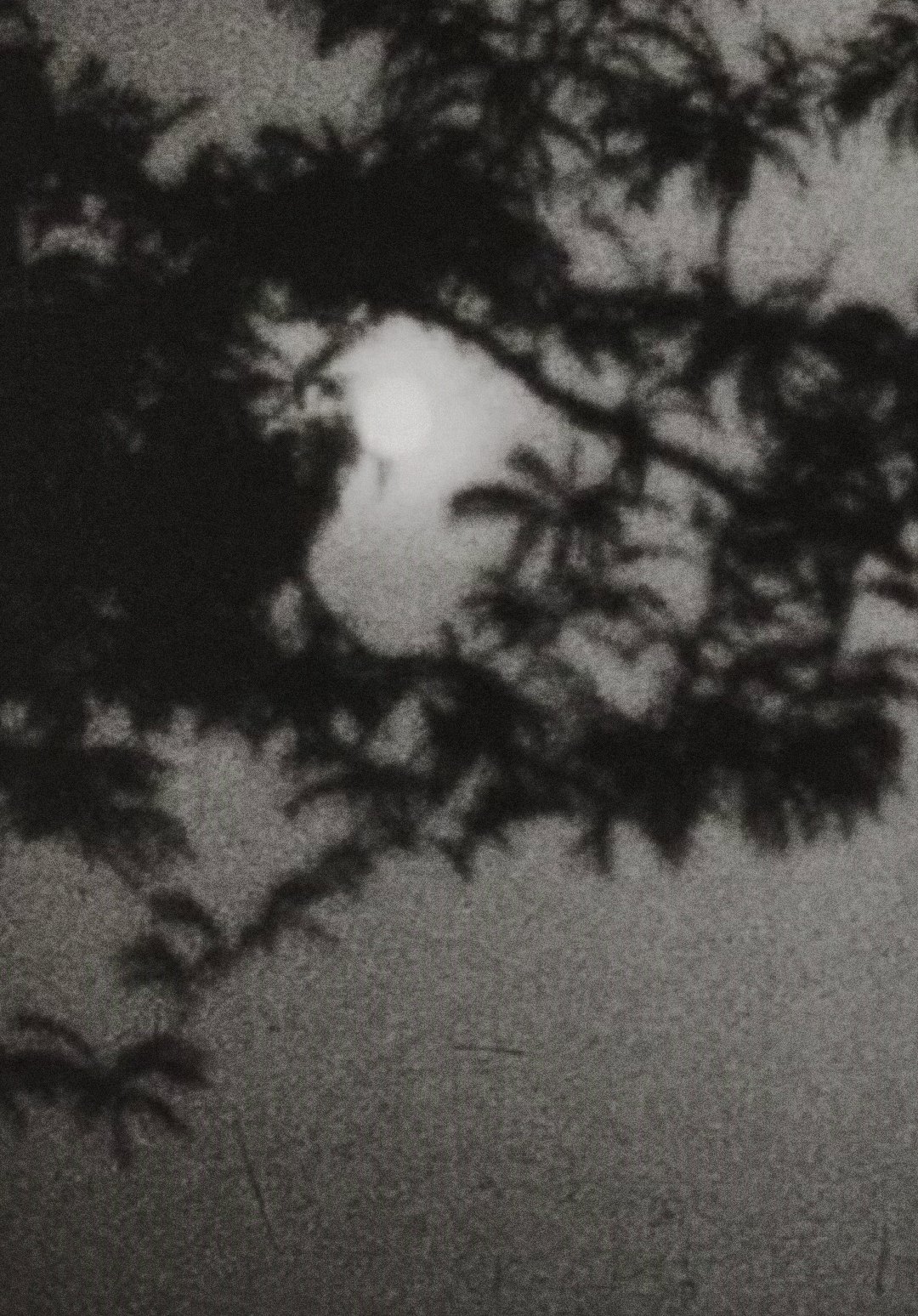 Moonplay