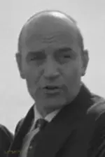 Cesarino Miceli Picardi