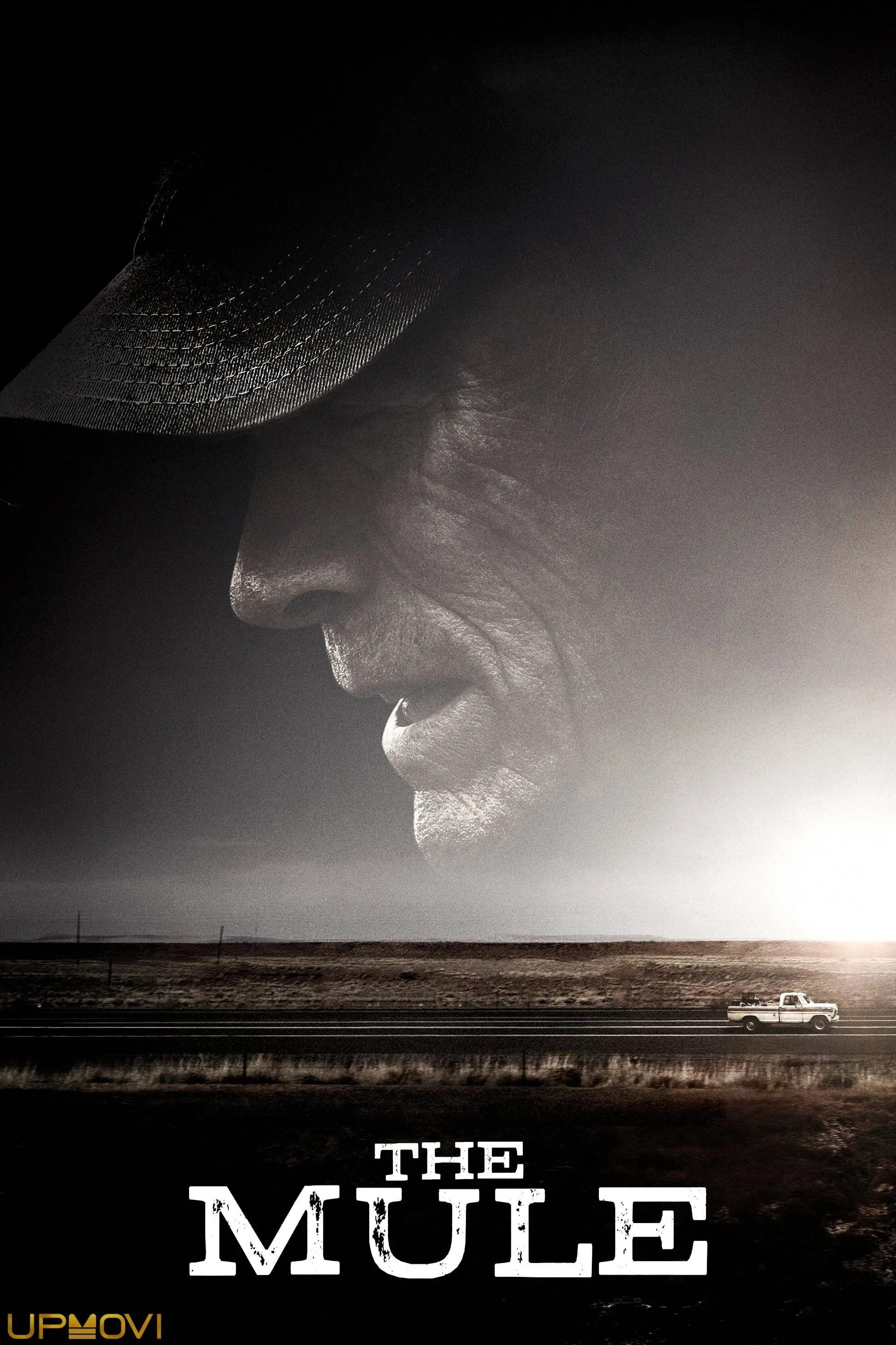 The Mule