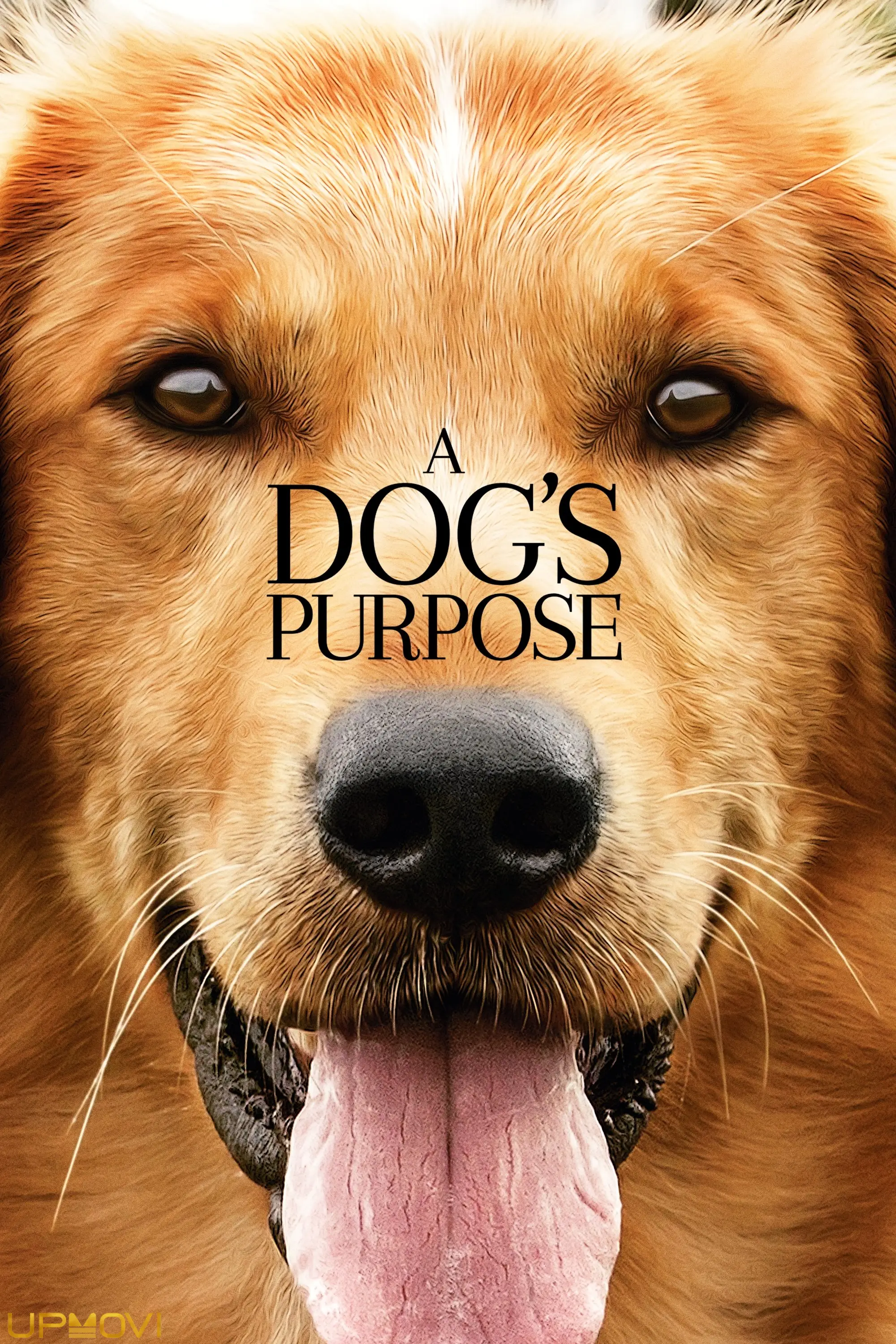 A Dog's Purpose