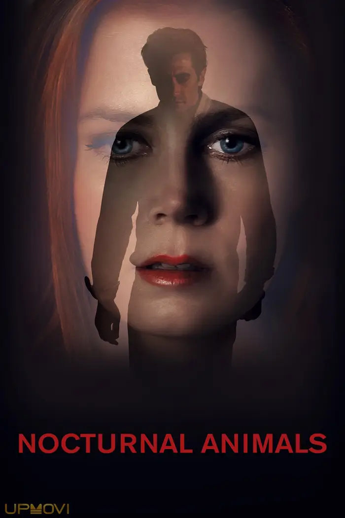 Nocturnal Animals