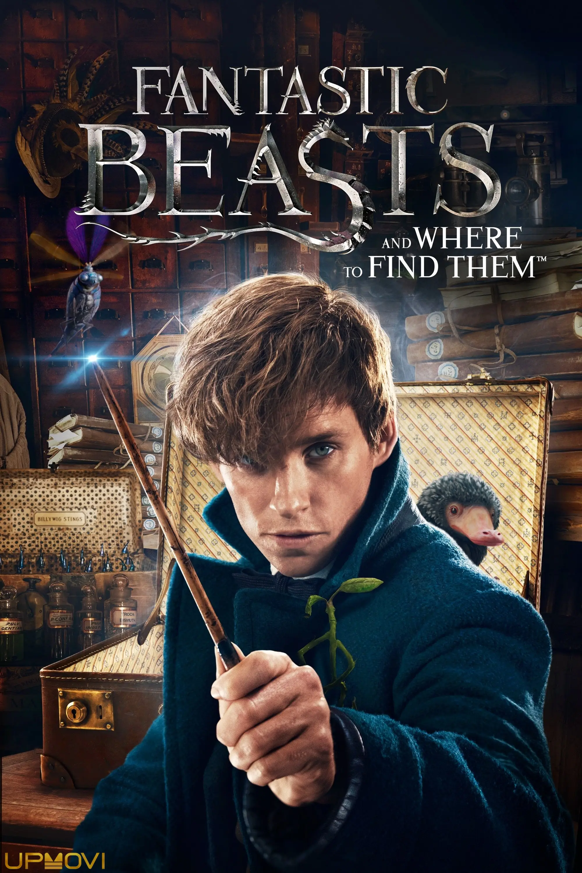 Fantastic Beasts and Where to Find Them