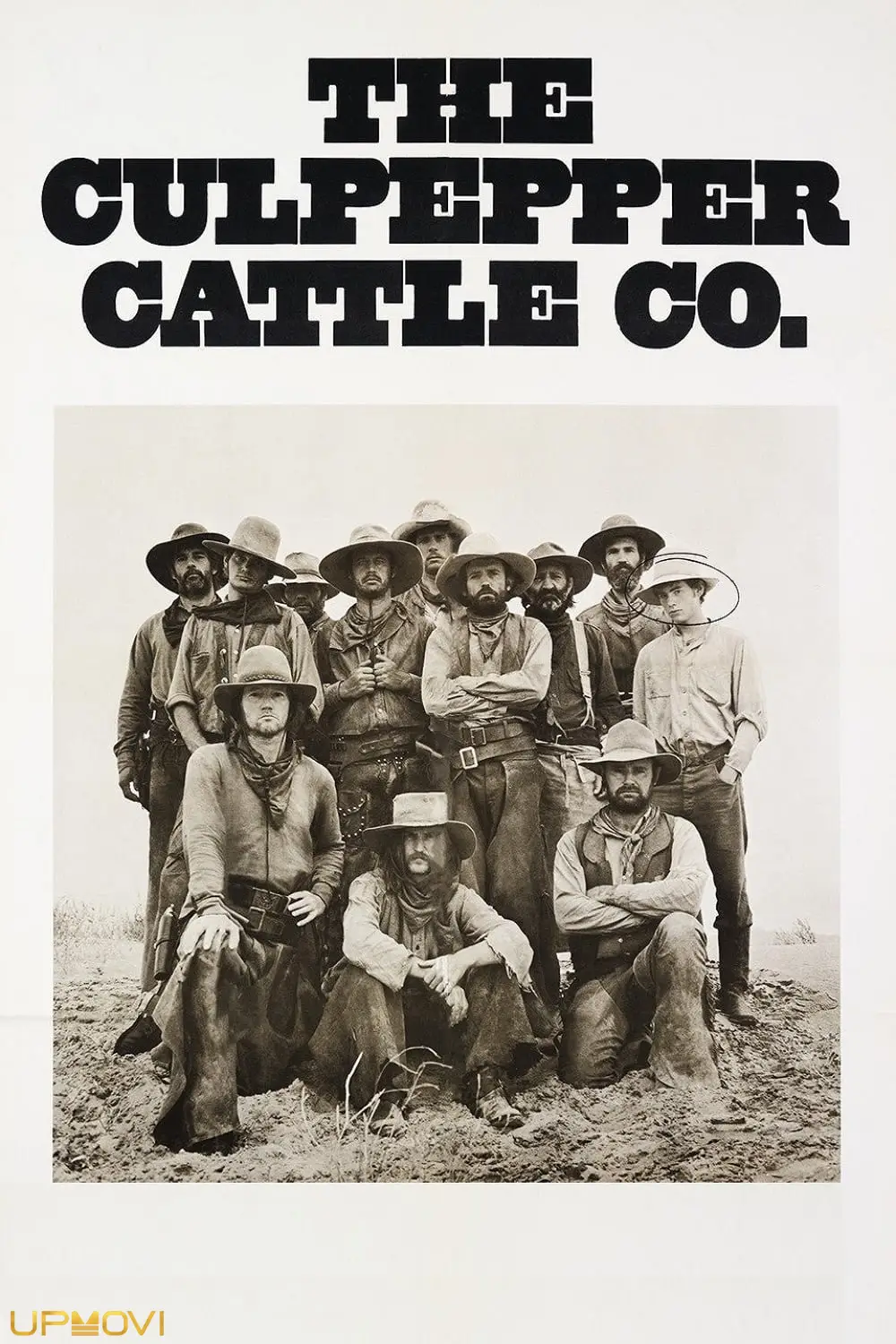 The Culpepper Cattle Co.