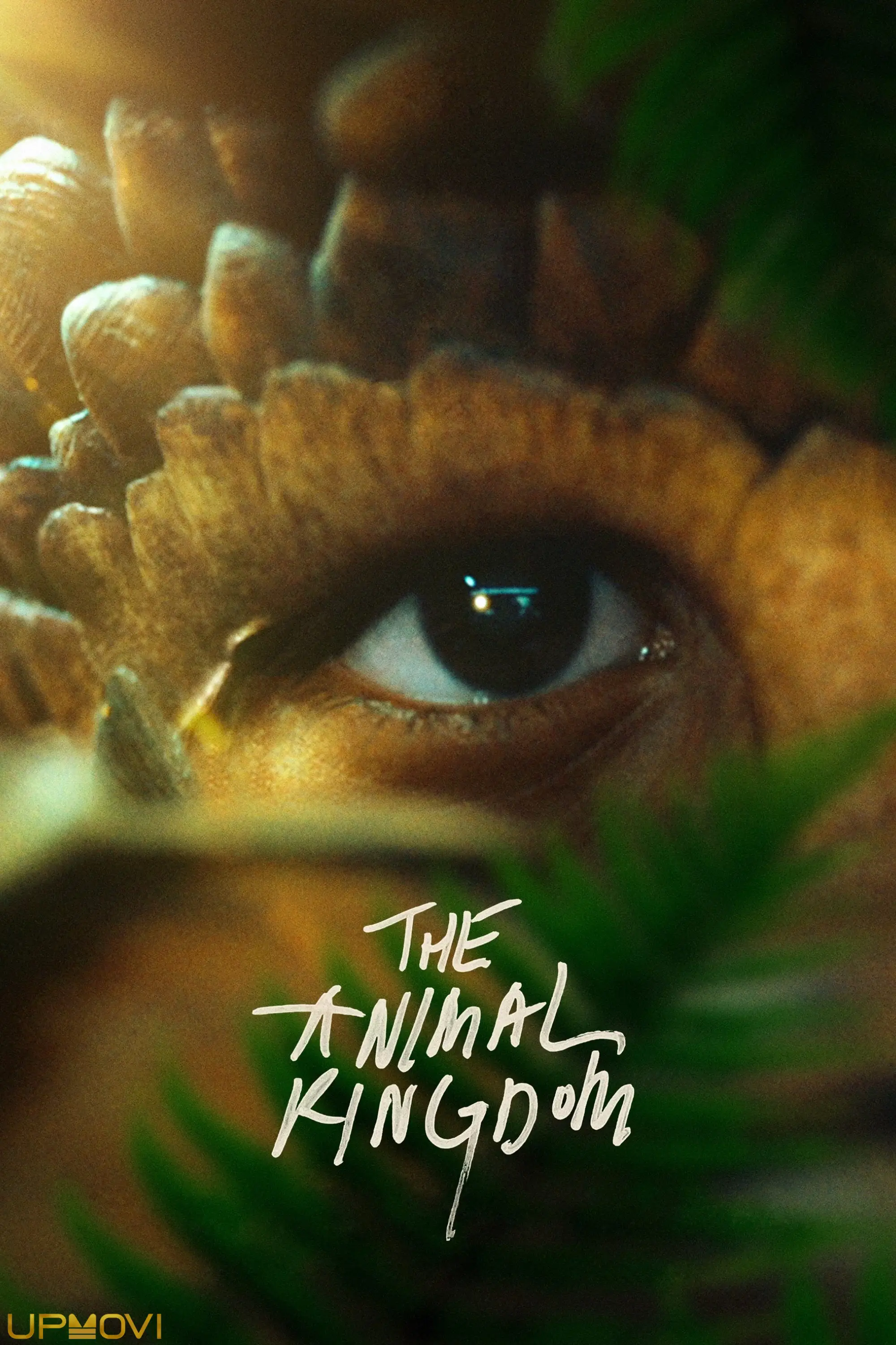 The Animal Kingdom