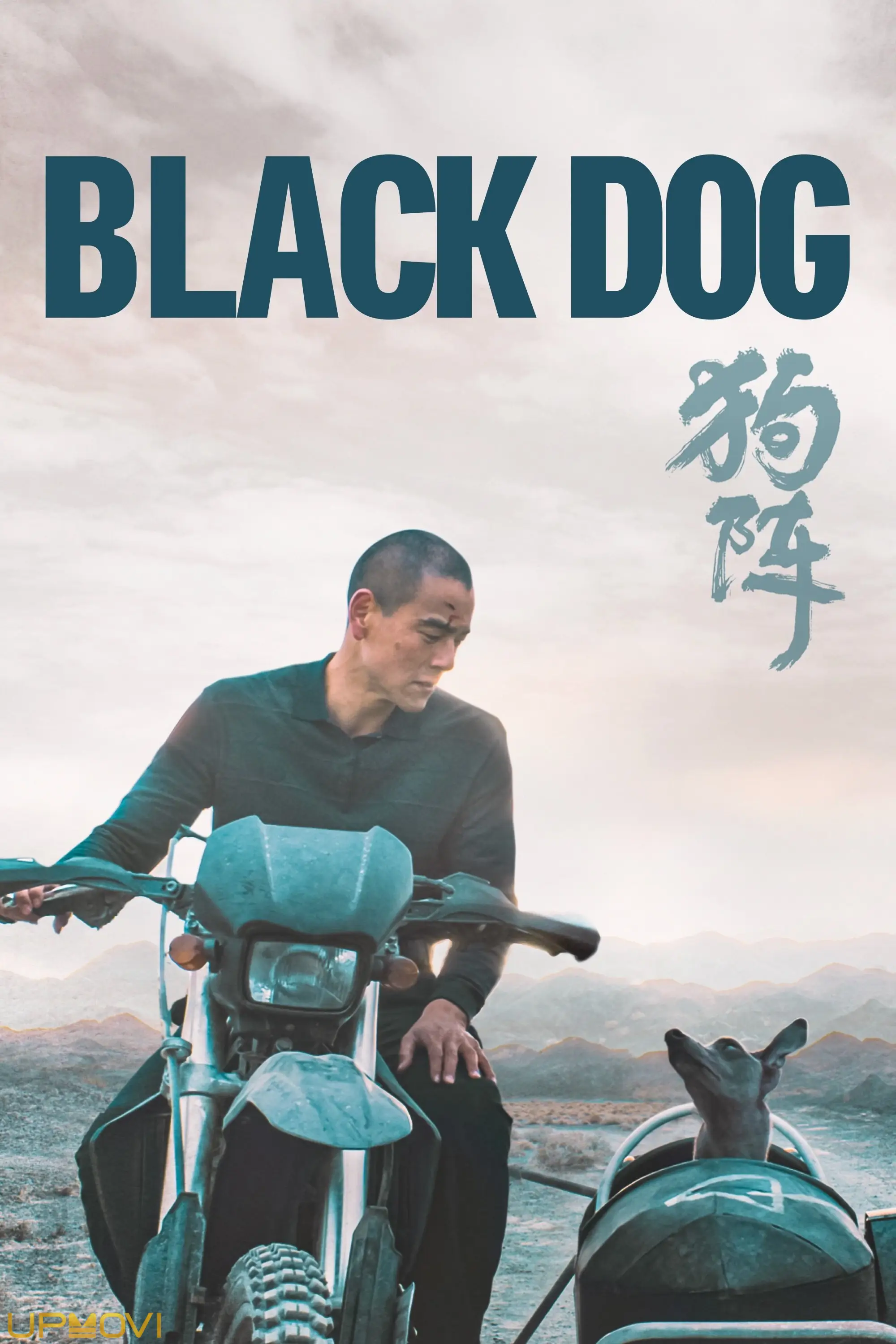 Black Dog