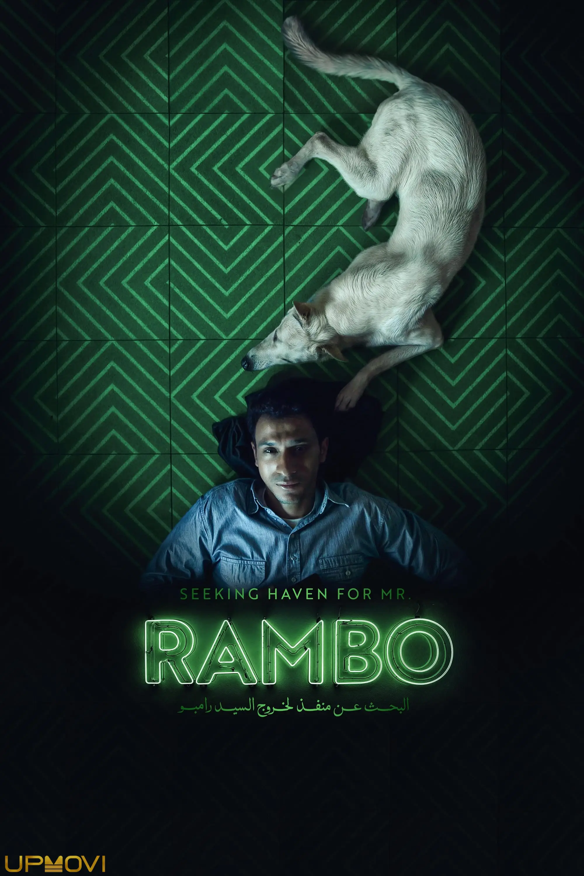 Seeking Haven for Mr. Rambo