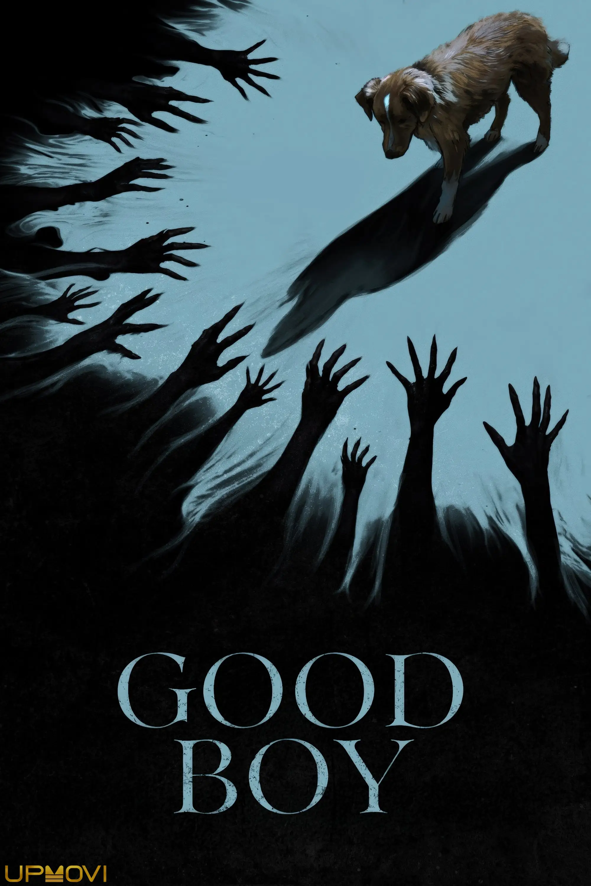 Good Boy