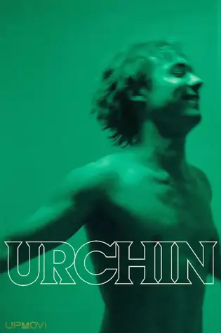 Urchin