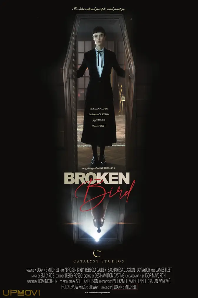 Broken Bird
