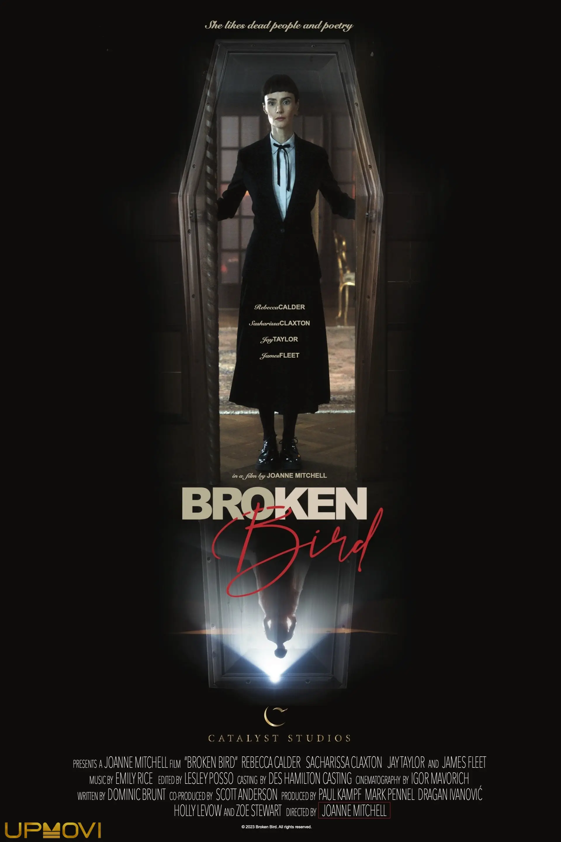 Broken Bird
