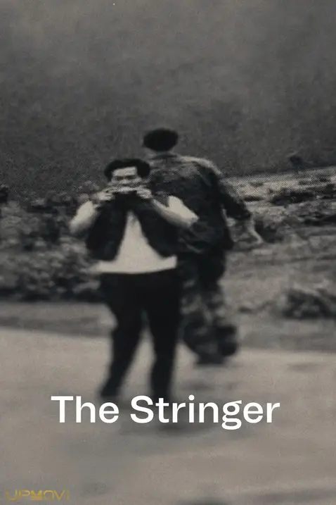 The Stringer
