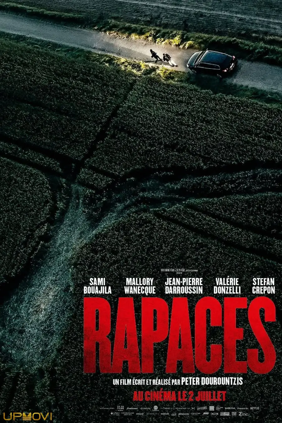 Rapaces