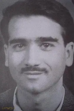 Parviz Fanizadeh
