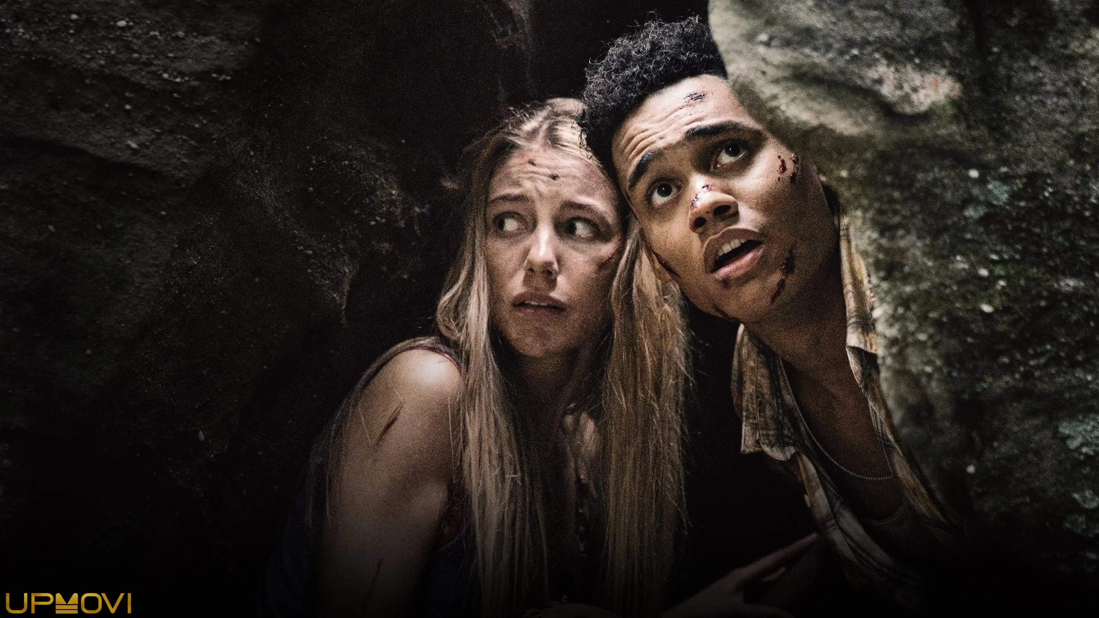 Wrong Turn
