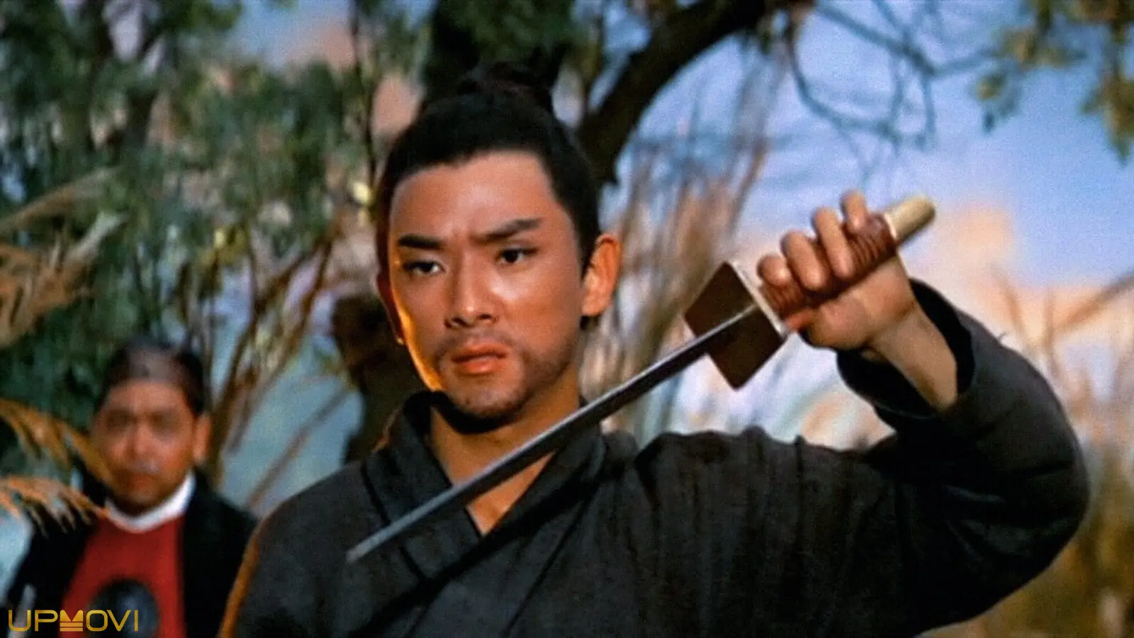 Return of the One-Armed Swordsman