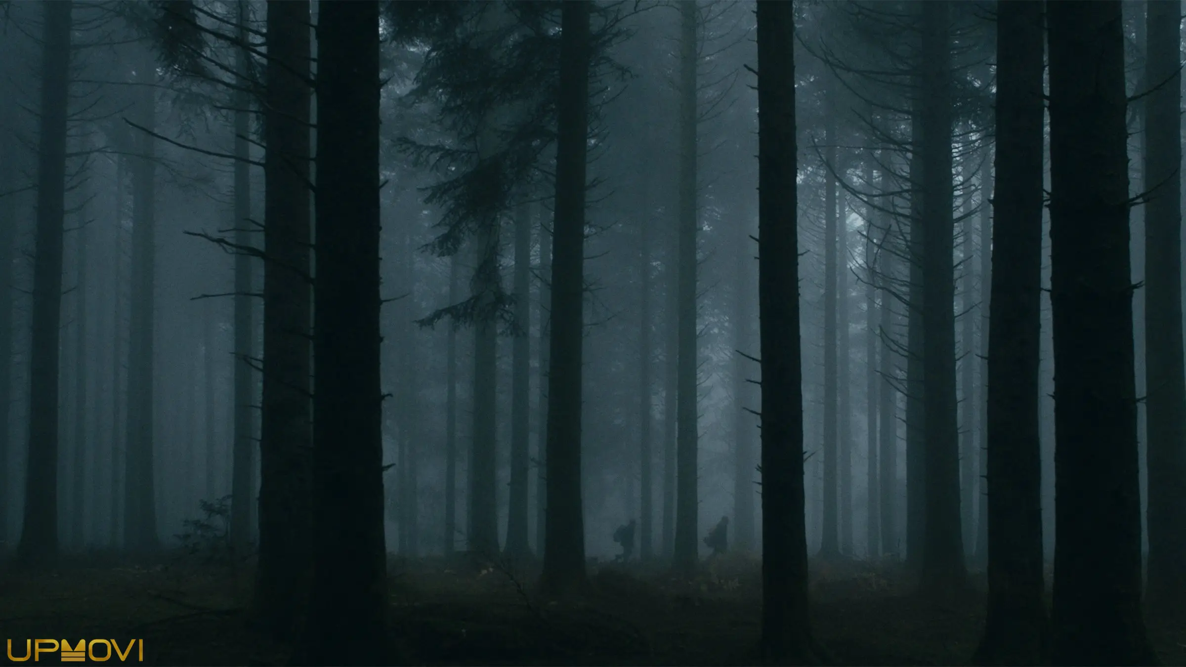 Dark Heart of the Forest