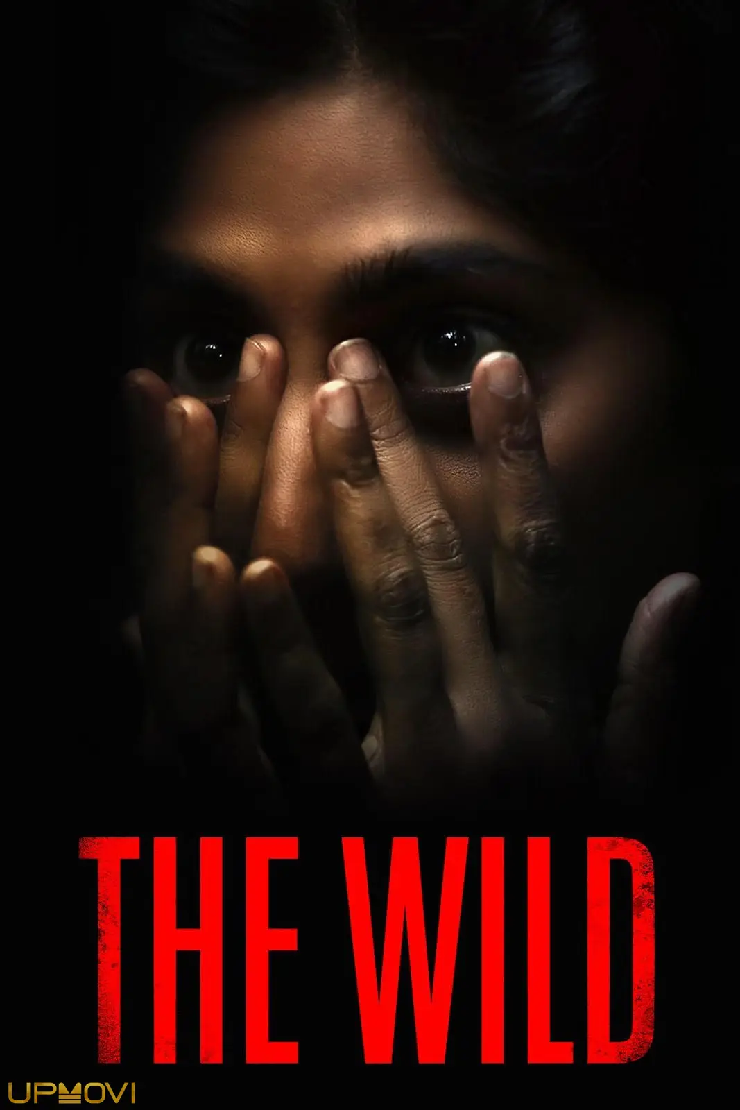 The Wild