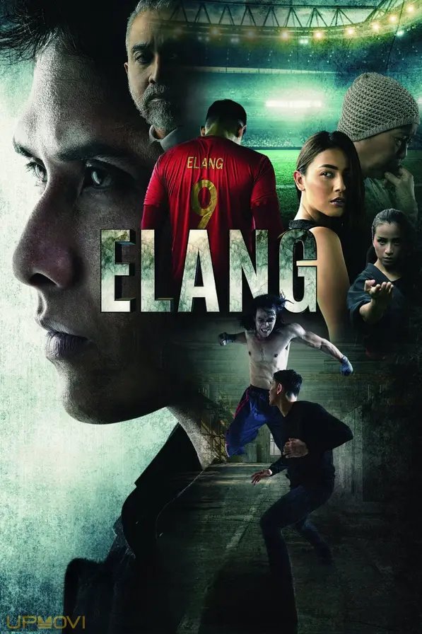 Elang