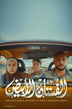 سفر اجتناب ناپذیر برای پیدا کردن لباس عروسی