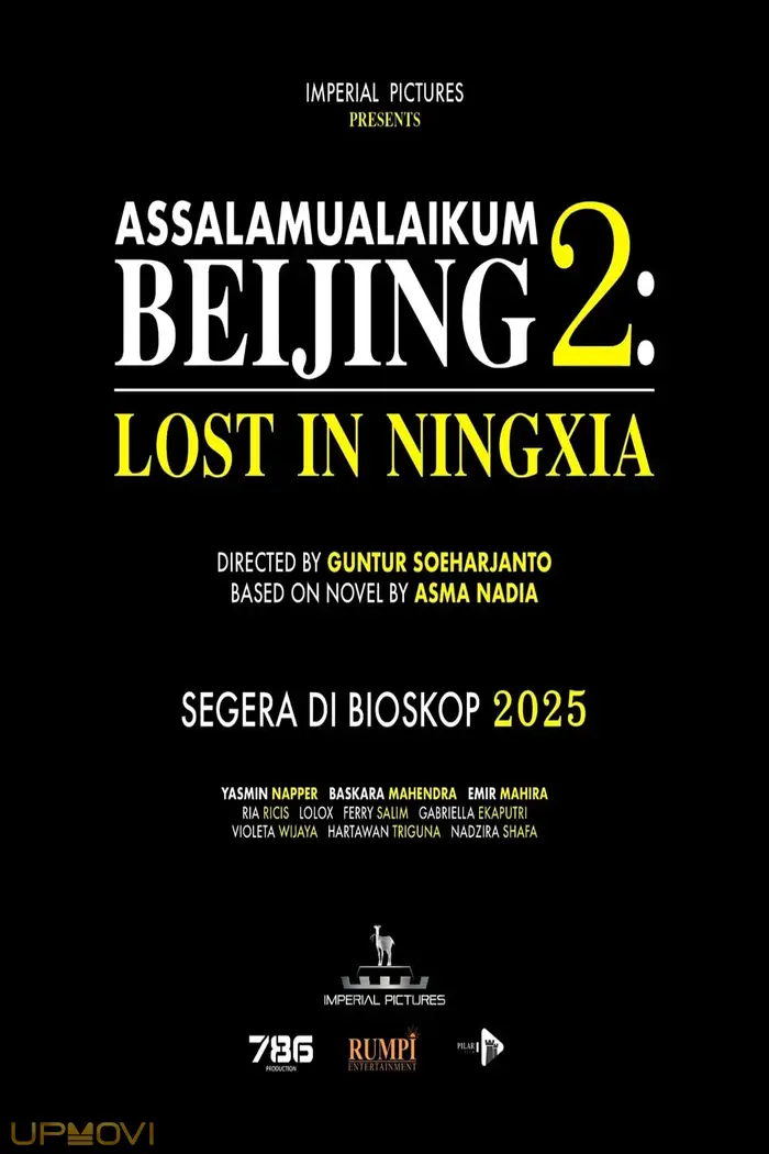 Assalamualaikum Beijing 2: Lost in Ningxia
