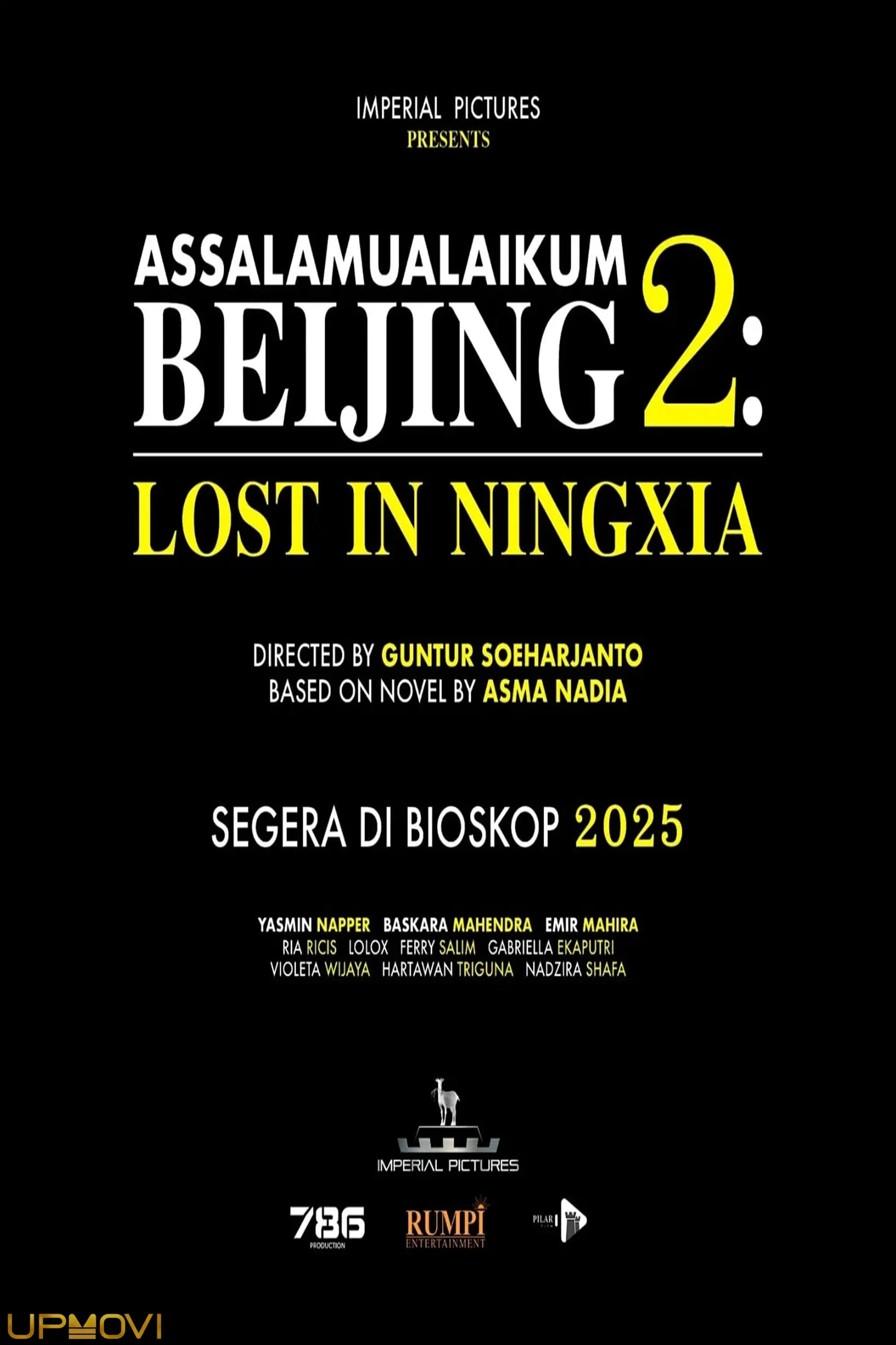 Assalamualaikum Beijing 2: Lost in Ningxia