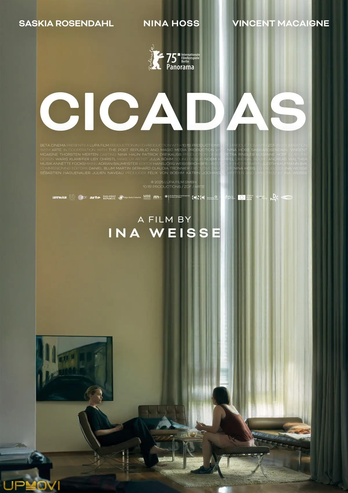 Cicadas