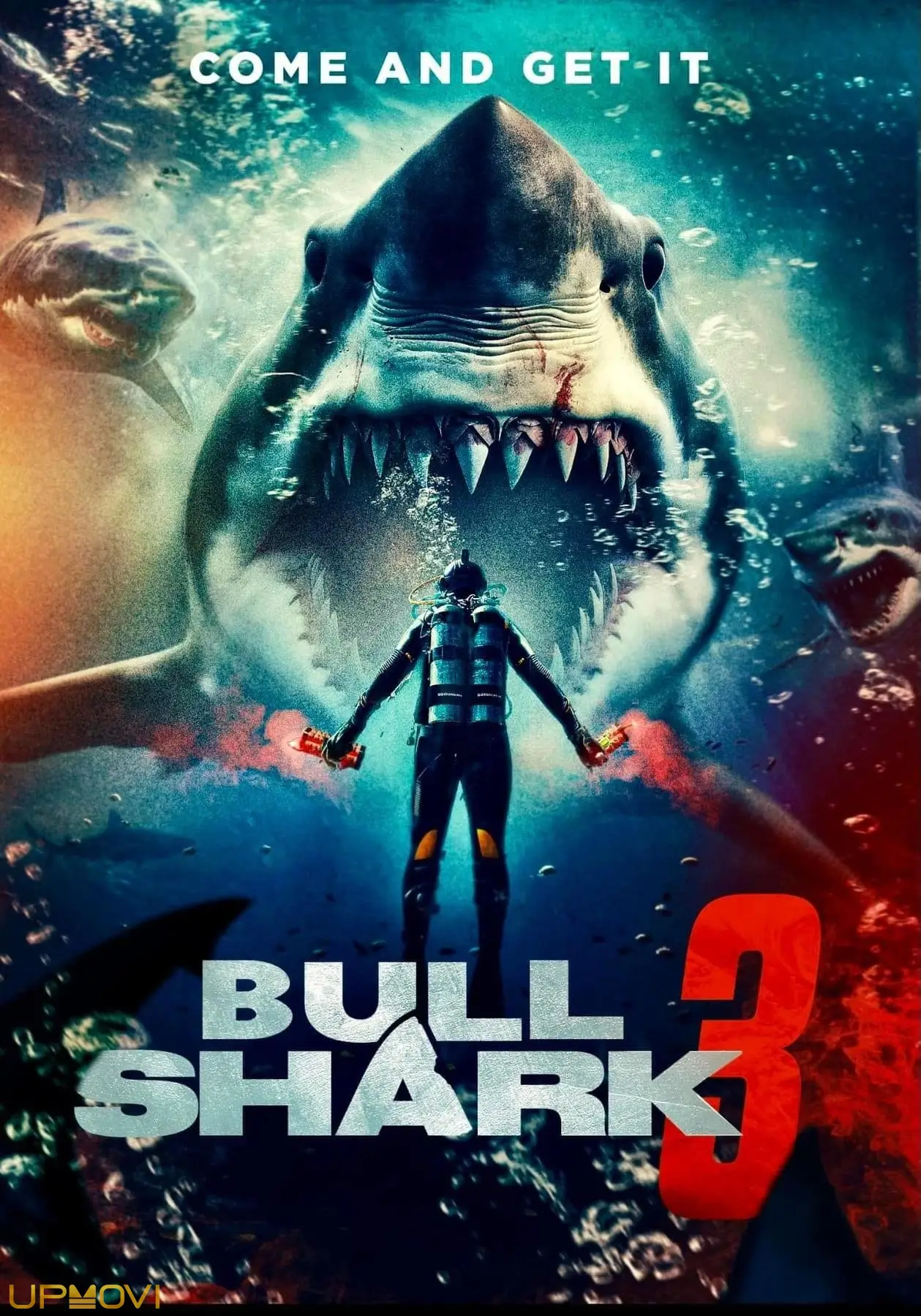 Bull Shark 3