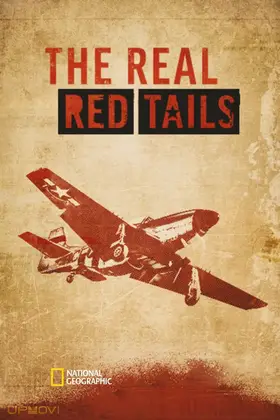 The Real Red Tails