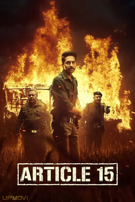 Article 15