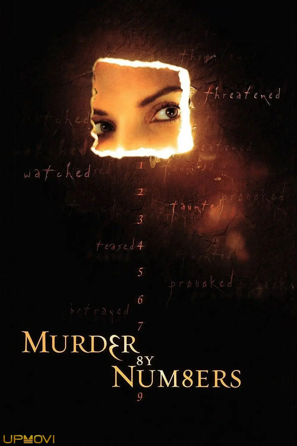 Murder by Numbers