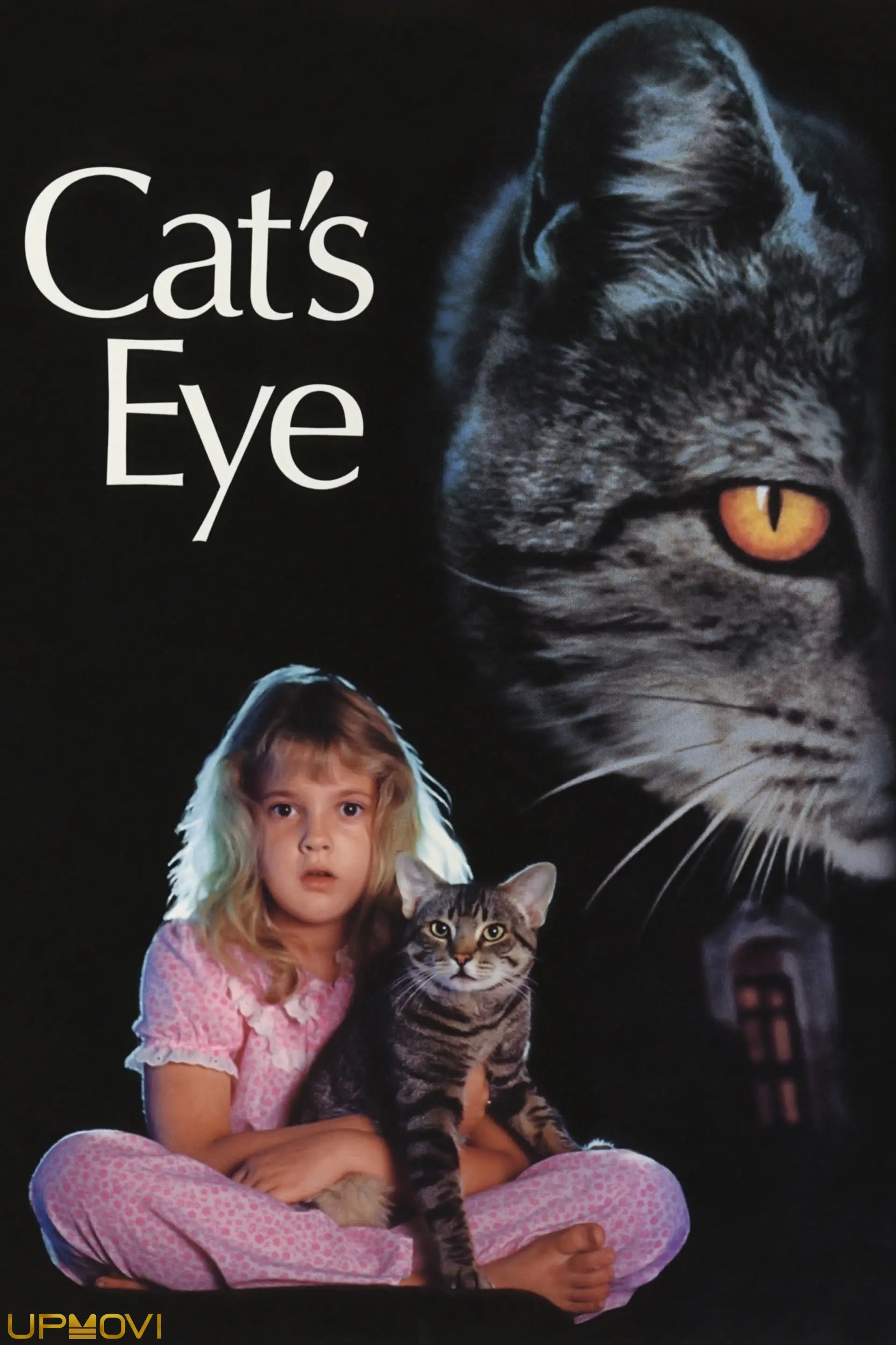 Cat's Eye