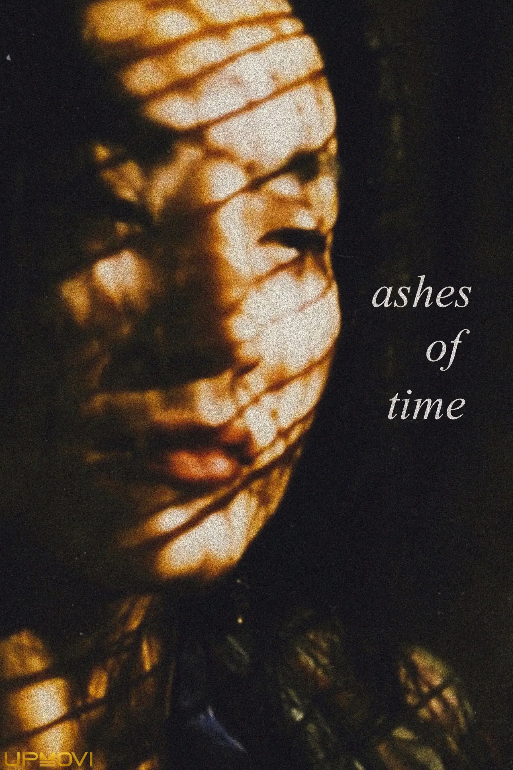 Ashes of Time
