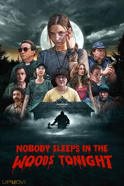 Nobody Sleeps in the Woods Tonight