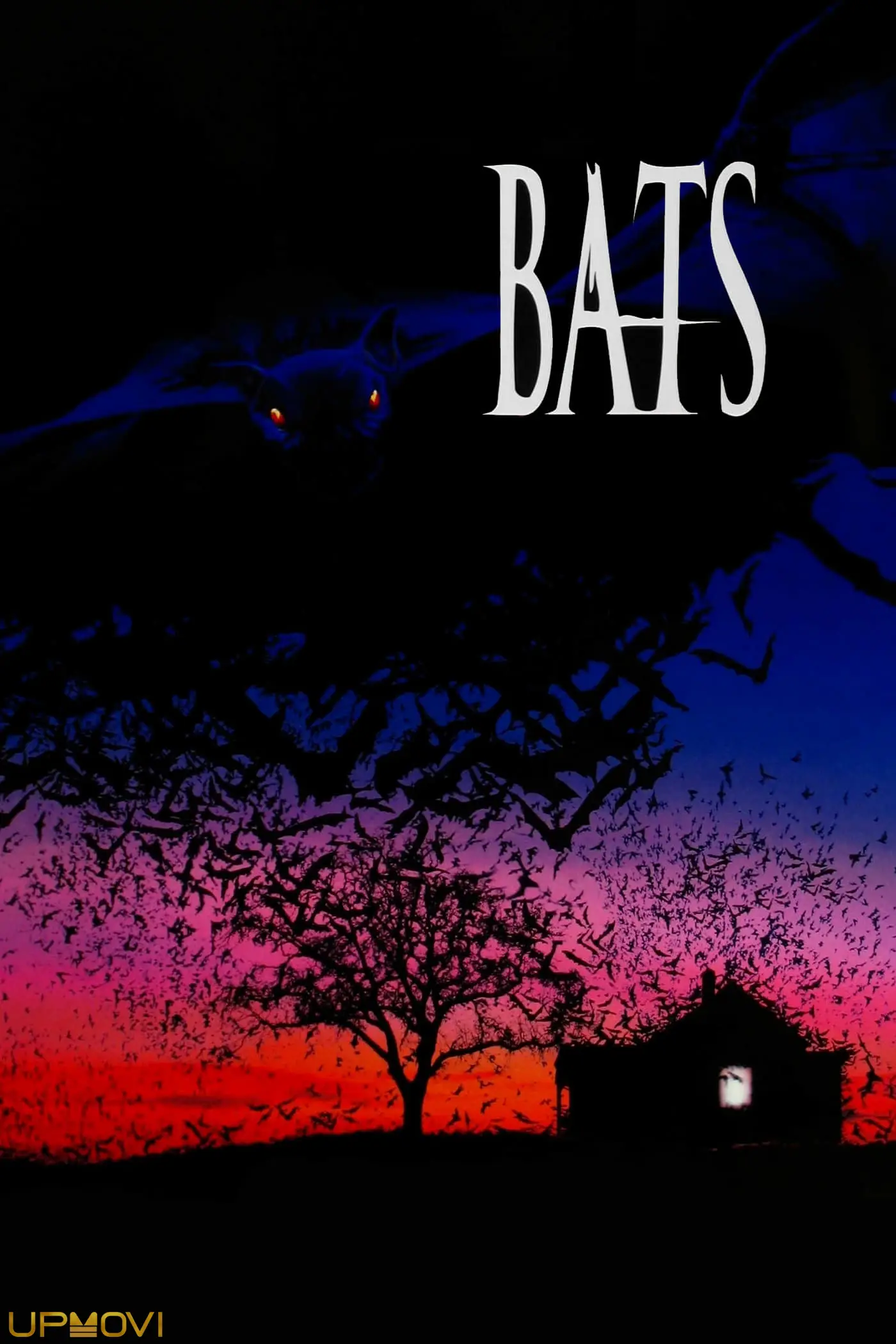 Bats