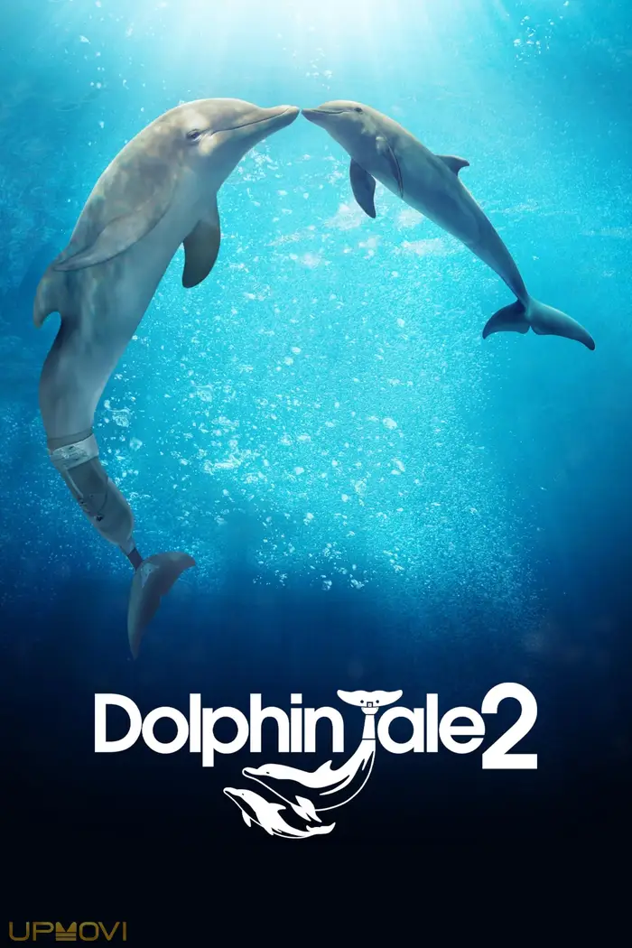 Dolphin Tale 2