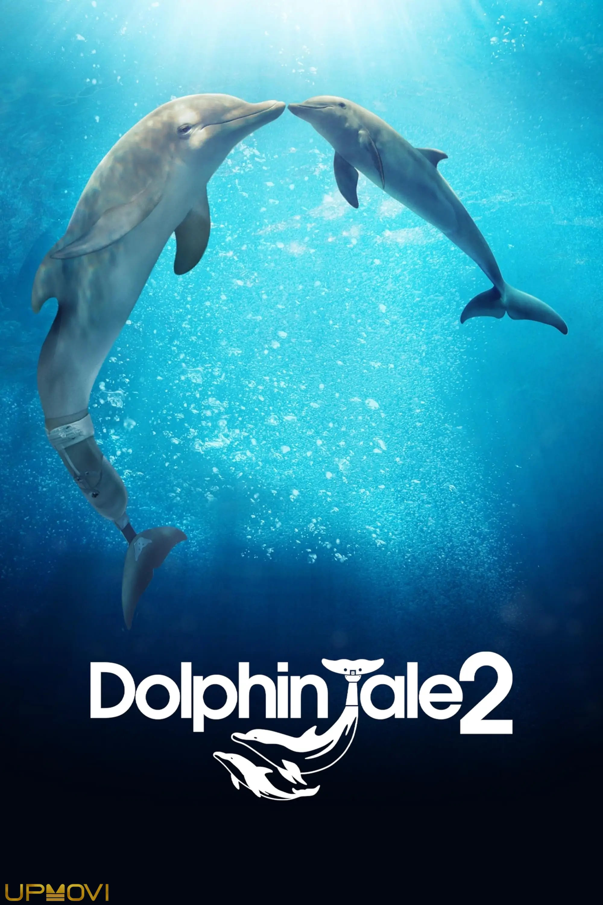 Dolphin Tale 2
