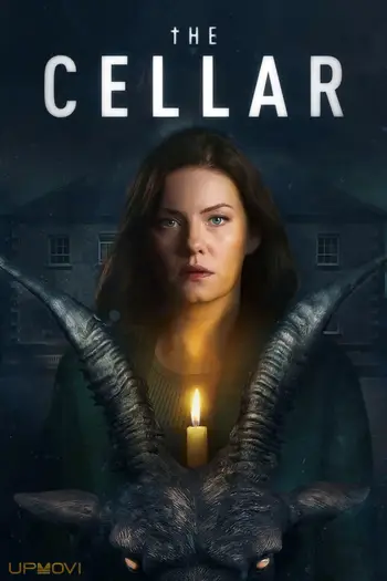 The Cellar