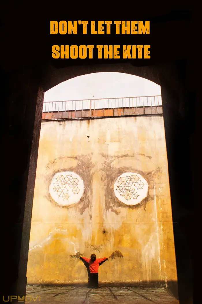 Don't Let Them Shoot the Kite
