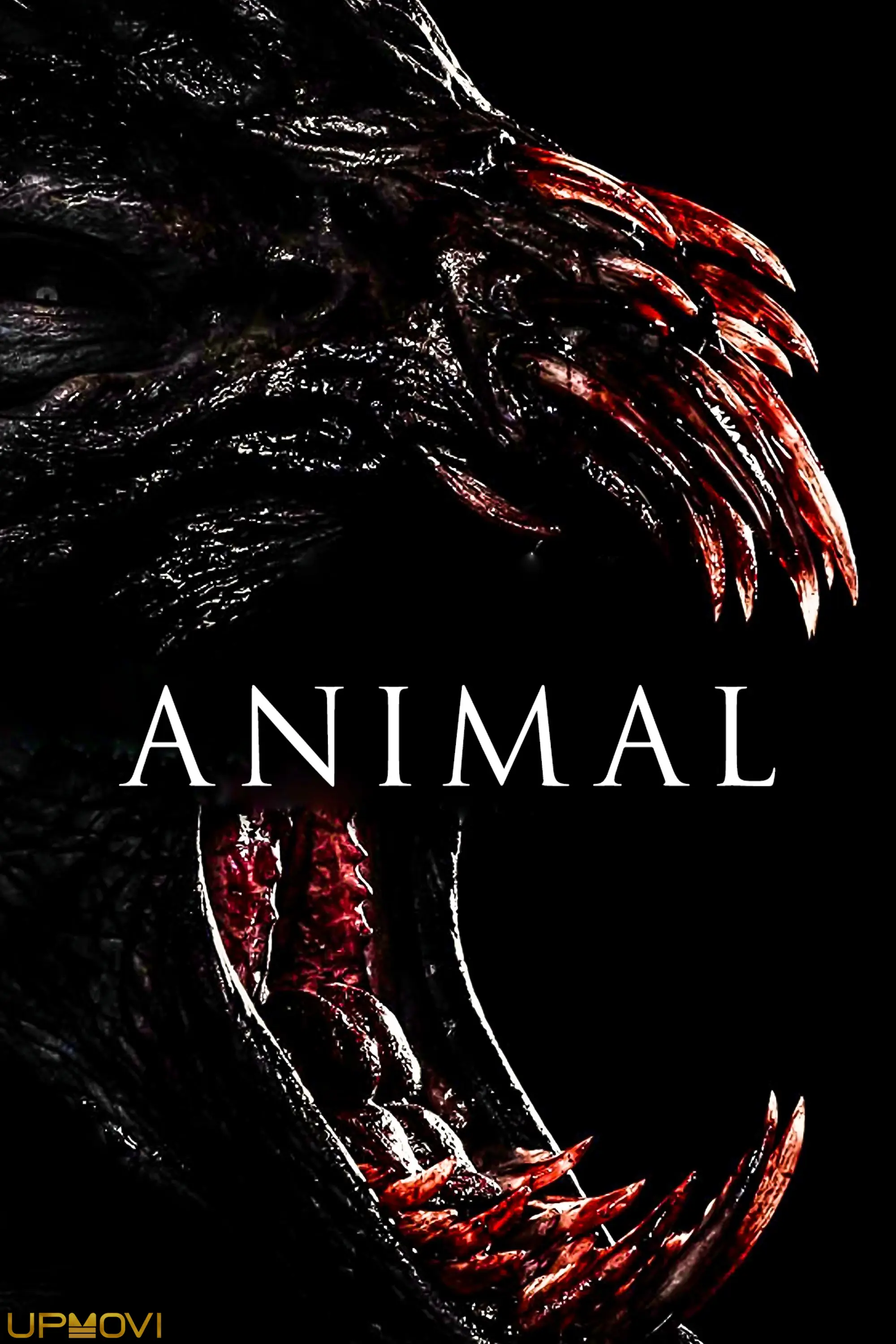 Animal