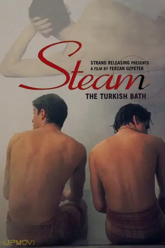 Steam: The Turkish Bath
