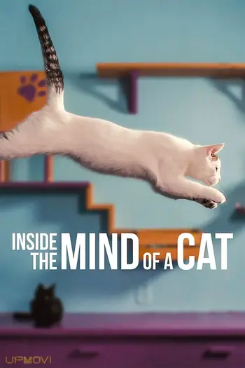 Inside the Mind of a Cat