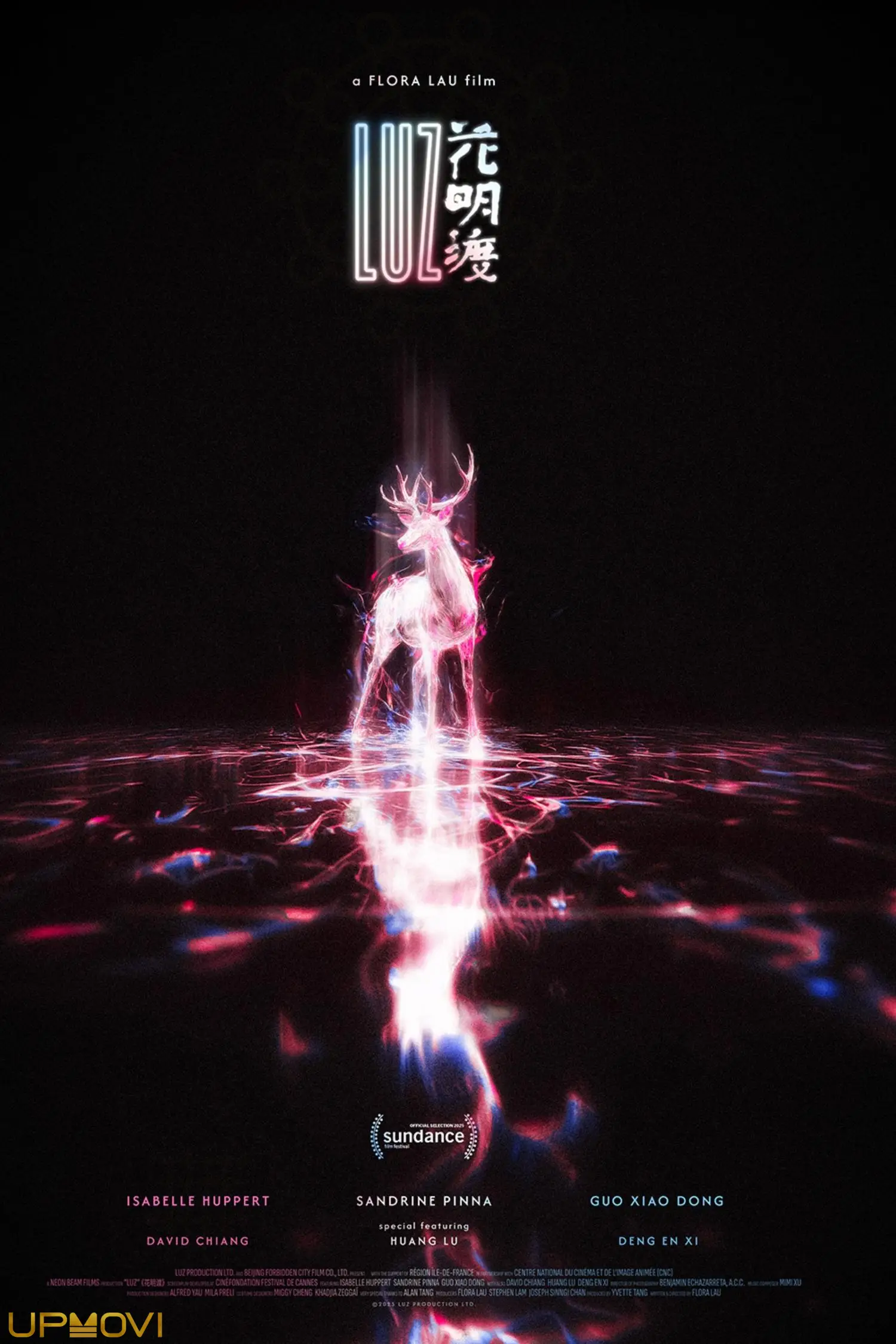 LUZ