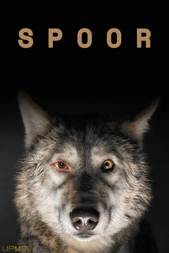 Spoor