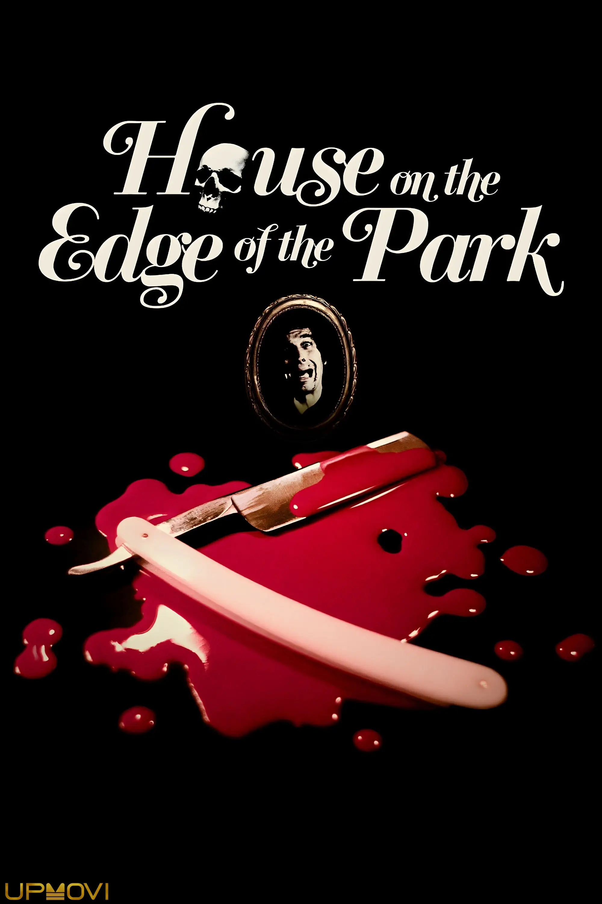 House on the Edge of the Park