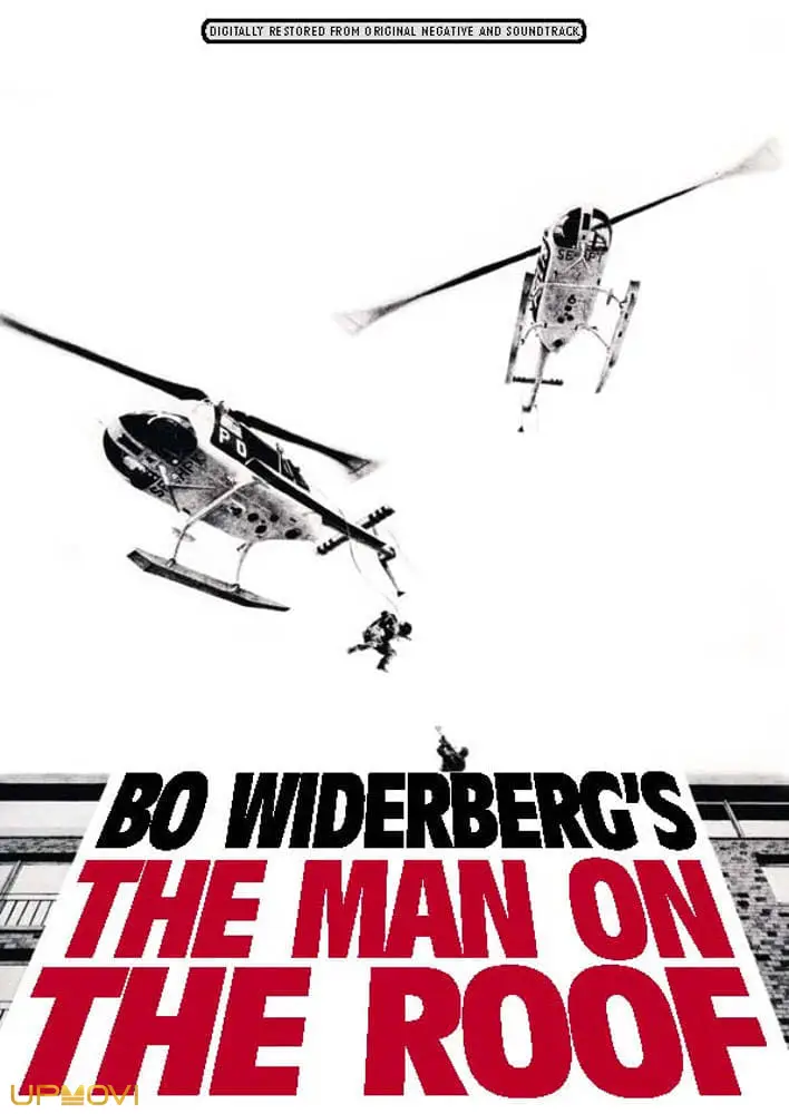 Man on the Roof