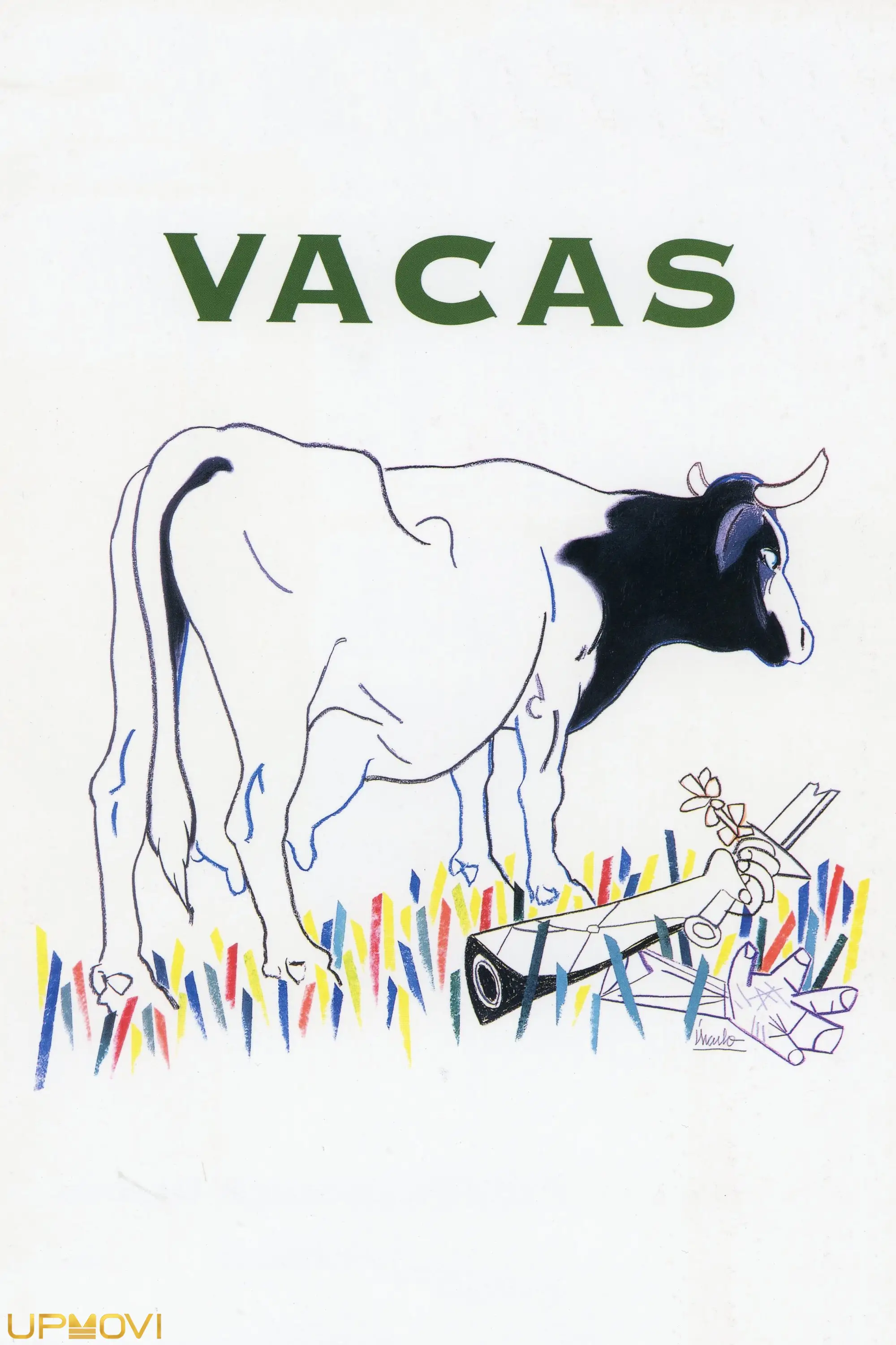 Cows