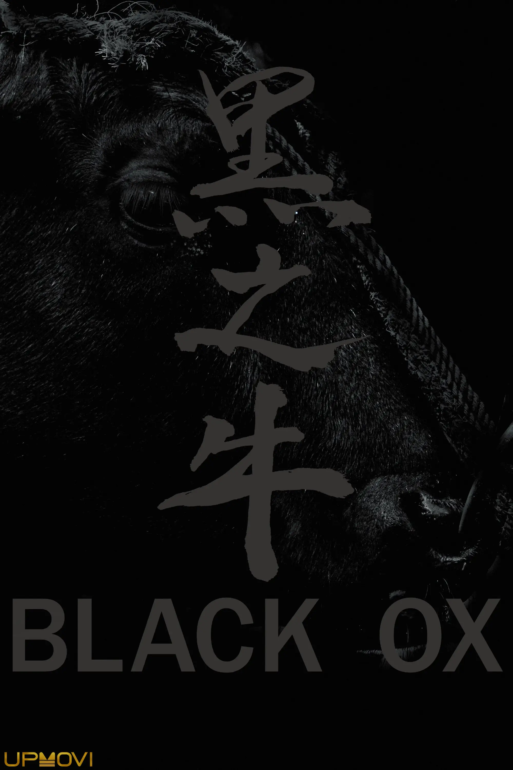Black Ox